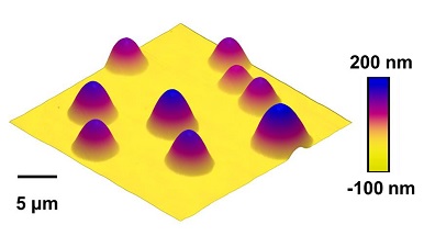 AFM of nanovesicles on a surface