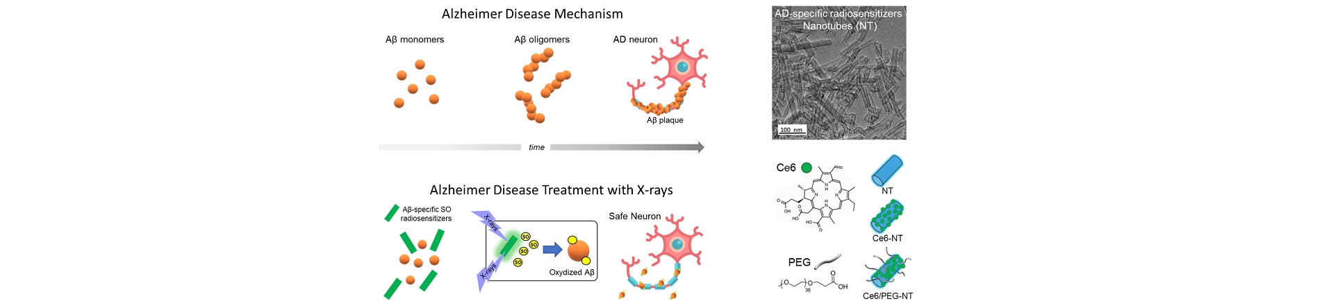 scheme of alzheimer disease treatment and scintllating nanotubes