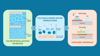 scheme of interaction between ice and polysaccharides