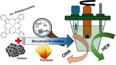 Elettrocatalizzatori a singoli atomi di cobalto