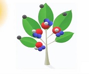 Nanomaterials for water electrolysis