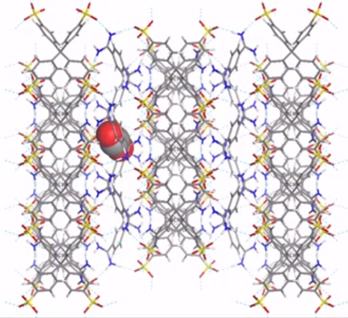 Schema di una nanospugna