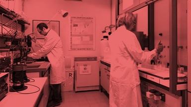 Ricercatori al lavoro in laboratorio