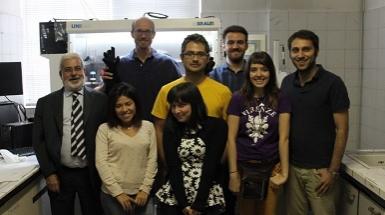 Prof. Mari's research group