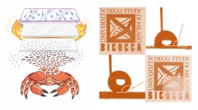 crabs and hydrophobic and trasparent coatings