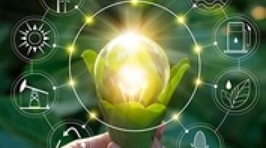 Lampadina verde e ciclo dell'economia circolare