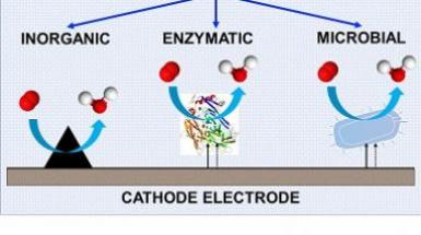 electrocatalyst scheme