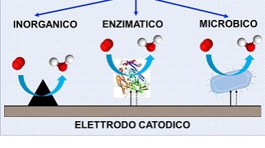 schema di un elettrocatalizzatore