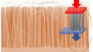 nanofili di silicio come una nanoforesta