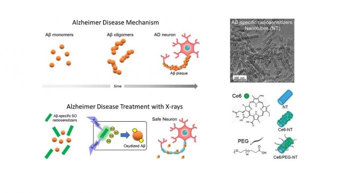 meccanismo del trattamento: palline, formula chimica, immagine delle proteine e dei nanotubi