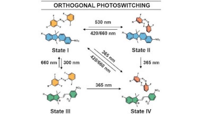 Interruttori molecolari fotoresponsivi e ortogonali
