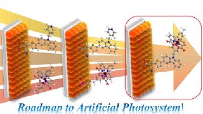 roadmap to artifical photosystems