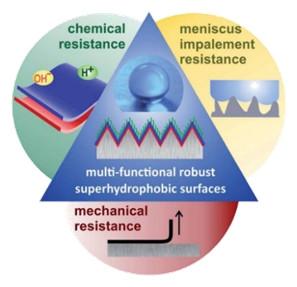 Multifunctional robust superhydrophobic surfaces Multifunctional robust superhydrophobic surfaces