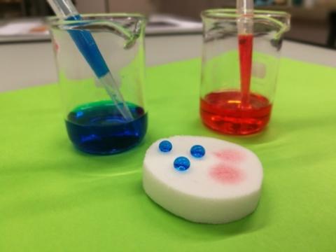 Selective absorption of oil (red-stained) and repellence of water (blue-stained)