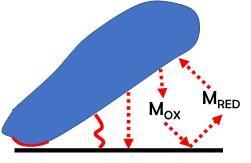 scheme of bioelectrocatalysis