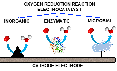 scheme of the mechanism