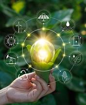 Lampadina verde e ciclo dell'economia circolare