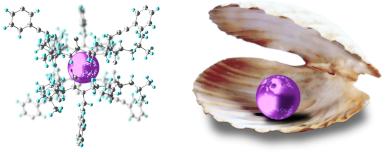 Xenon atom confined the cyclic hexapeptide, like a pearl in a shell