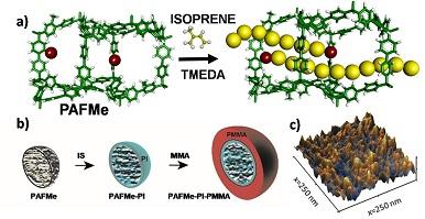 scheme of a porous framework of PAFM