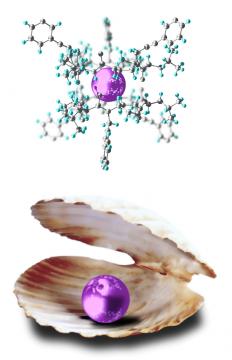 Xenon in the cyclic peptide