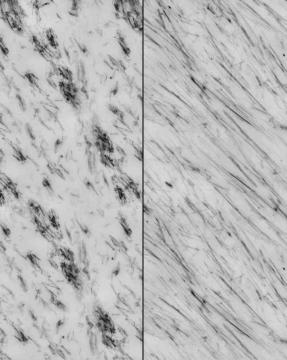 Orientamento anisotropico delle nanoparticelle modificate nella mescola per pneumatico SmartNET™ Silica (da analisi TEM) Orientamento anisotropico delle nanoparticelle modificate nella mescola per pneumatico SmartNET™ Silica (da analisi TEM)
