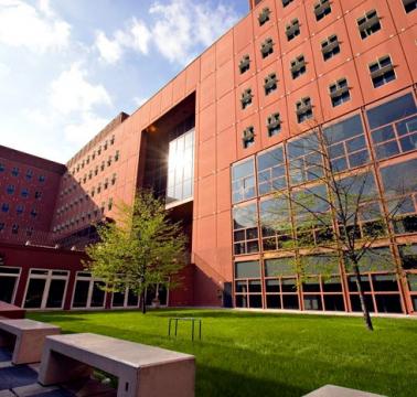 Edifici in Piazza della Scienza Edifici dell'Università degli Studi di Milano-Bicocca in Piazza della Scienza